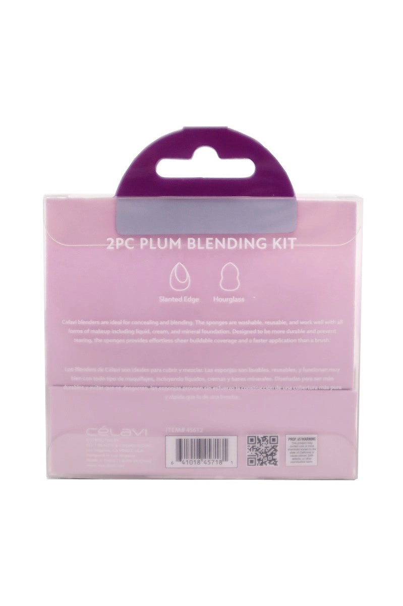 Blending Sponge Set