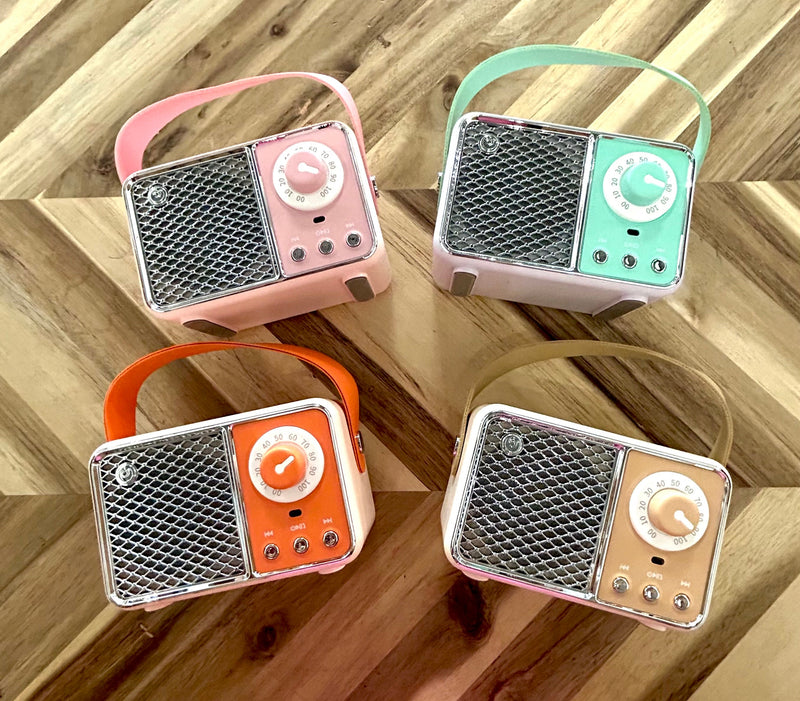 Bluetooth Radio/Speaker